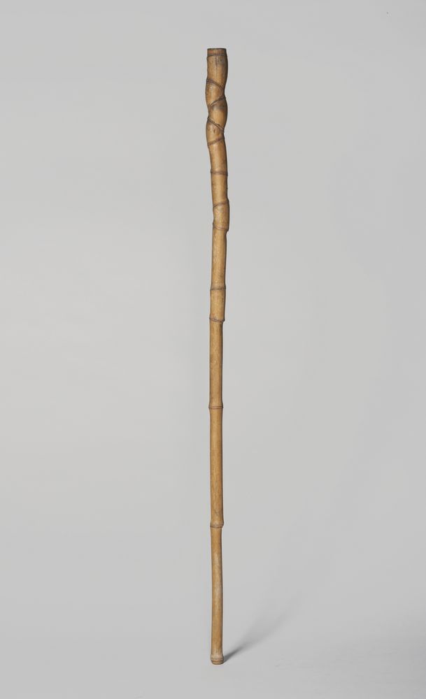 竹節柺杖